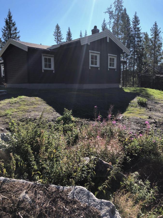 Fresh Familie Hytte Hemsedal Exterior photo