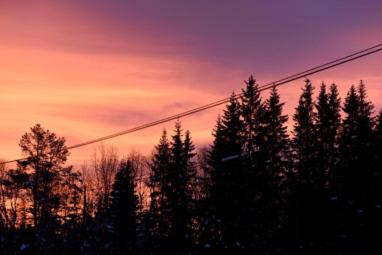Fresh Familie Hytte Hemsedal Exterior photo